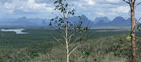 88000m² Commercial property in Khok Kloi, Thailand No. 8278 5