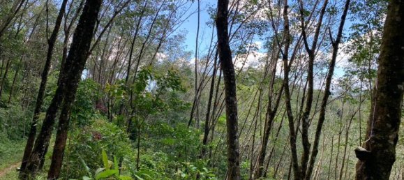 88000m² Commercial property in Khok Kloi, Thailand No. 8278 10