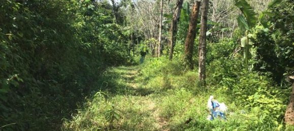 88000m² Commercial property in Khok Kloi, Thailand No. 8278 9