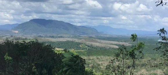 88000m² Commercial property in Khok Kloi, Thailand No. 8278 6