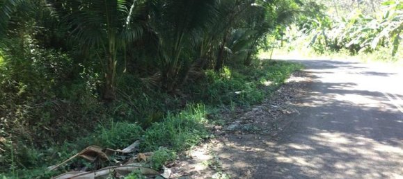 88000m² Commercial property in Khok Kloi, Thailand No. 8278 8