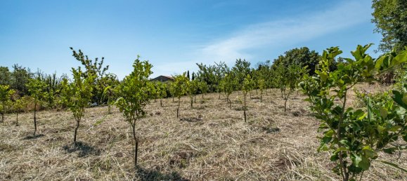 Grundstück in Mascali, Italy 88000m², Nr. 272672 19