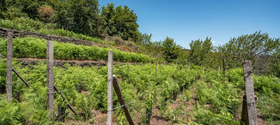 Grundstück in Mascali, Italy 88000m², Nr. 272672 15