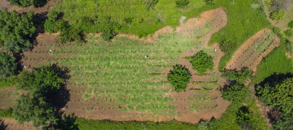 Grundstück in Mascali, Italy 88000m², Nr. 272672 13