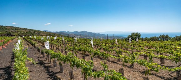 Grundstück in Mascali, Italy 88000m², Nr. 272672 11