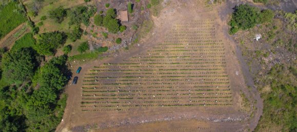 Grundstück in Mascali, Italy 88000m², Nr. 272672 10