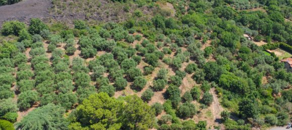 Grundstück in Mascali, Italy 88000m², Nr. 272672 18