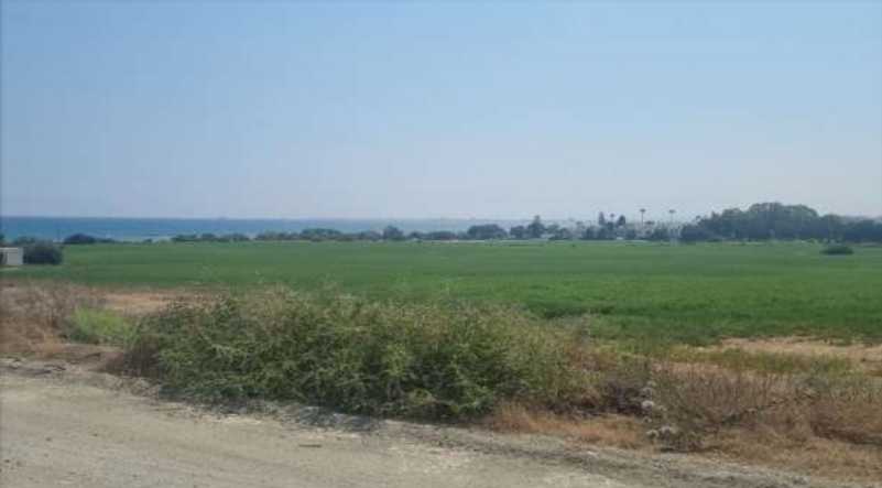53744m² Land in Larnaca, Cyprus No. 16323
