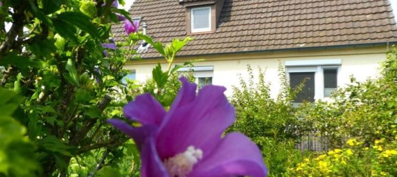 5 rooms House in Ludwigsburg, Germany No. 315356 3