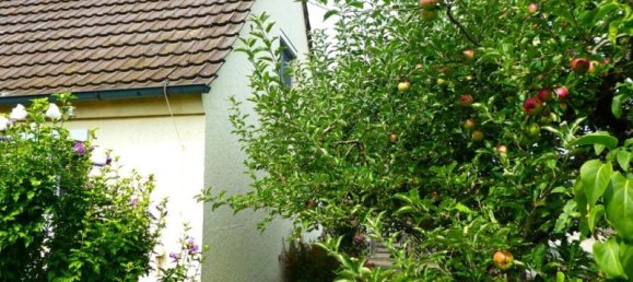 5 rooms House in Ludwigsburg, Germany No. 315356 2