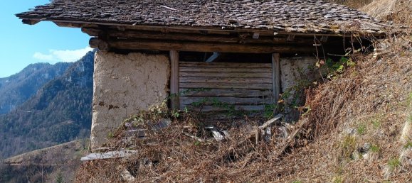 2 rooms House in Canal San Bovo, Italy No. 280028 3