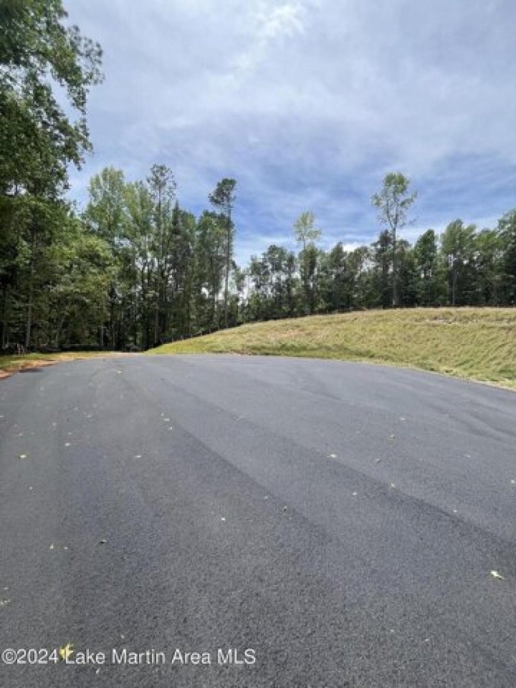  Land in Dadeville, USA No. 498150