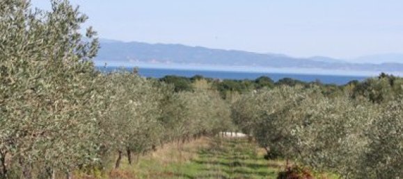 Hotel en Chalkidiki, Greece 17643 m² No. 8144 5