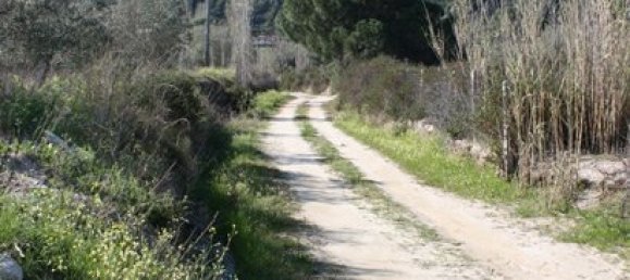 Hotel en Chalkidiki, Greece 17643 m² No. 8144 4