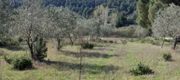 Hotel en Chalkidiki, Greece 17643 m² No. 8144 2