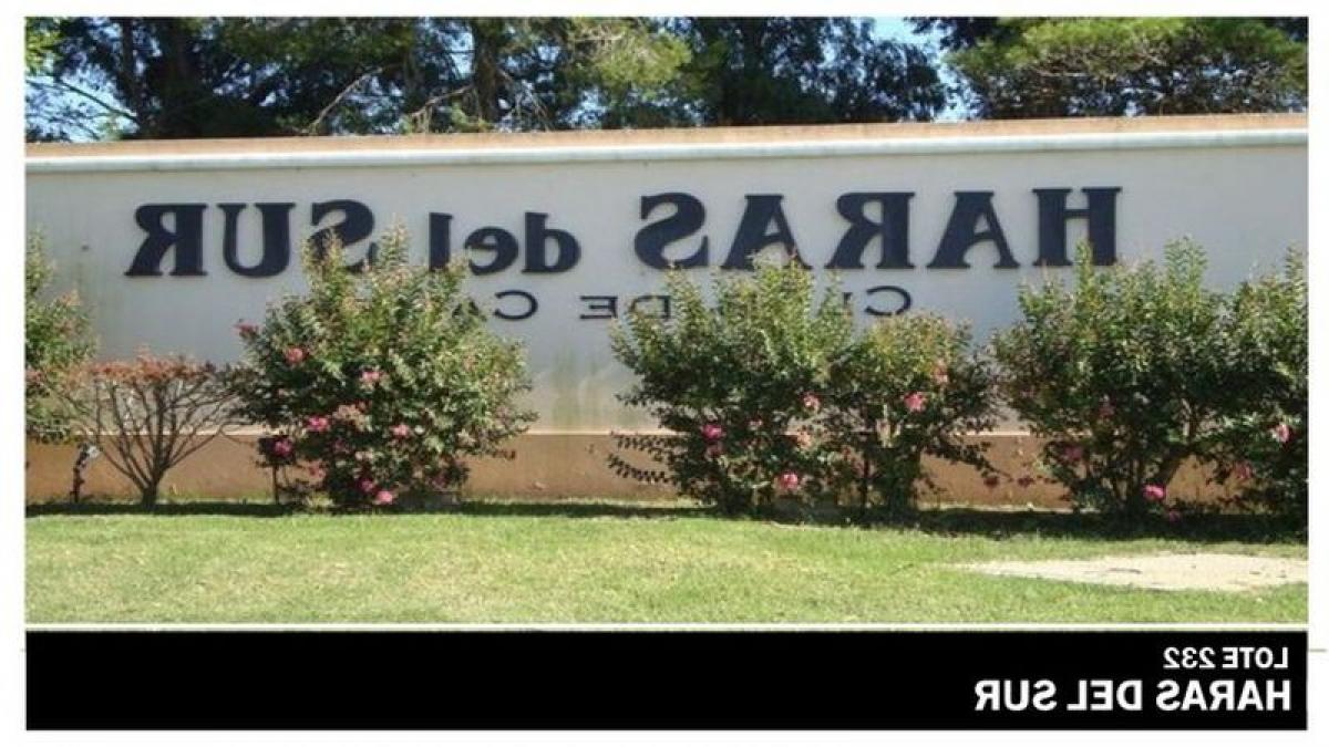  Farm in Brandsen, Argentina No. 46683