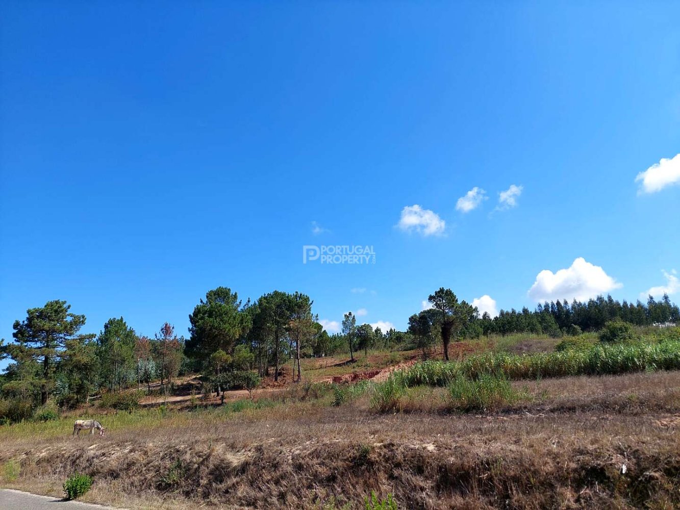  قطعة أرض في Obidos, Portugal رقم 301992