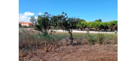  قطعة أرض في Obidos, Portugal رقم 301992 6