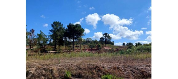  قطعة أرض في Obidos, Portugal رقم 301992 4