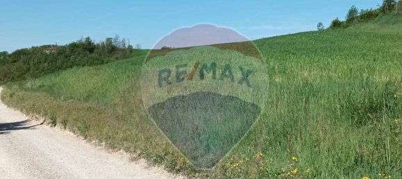 Земельный участок 130000м² в Кастельфранко Пьяндиско, Италия № 82666 11