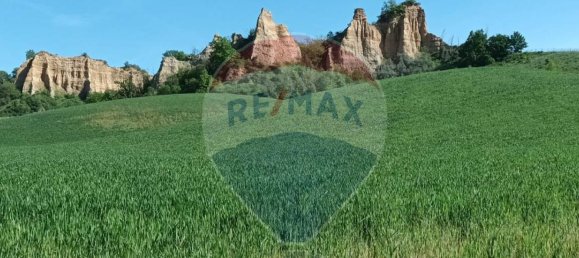 Земельный участок 130000м² в Кастельфранко Пьяндиско, Италия № 82666 14