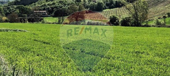 Земельный участок 130000м² в Кастельфранко Пьяндиско, Италия № 82666 15