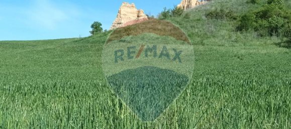 Земельный участок 130000м² в Кастельфранко Пьяндиско, Италия № 82666 18