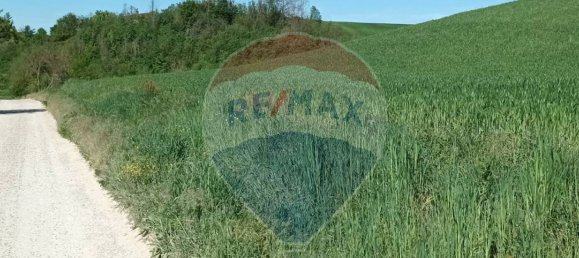 Земельный участок 130000м² в Кастельфранко Пьяндиско, Италия № 82666 22