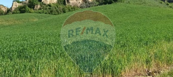 Земельный участок 130000м² в Кастельфранко Пьяндиско, Италия № 82666 6