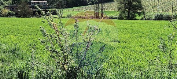 Земельный участок 130000м² в Кастельфранко Пьяндиско, Италия № 82666 21