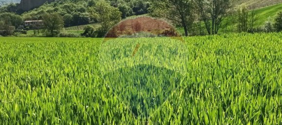 Земельный участок 130000м² в Кастельфранко Пьяндиско, Италия № 82666 5