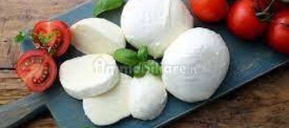 2-Zimmer Gewerbliche Immobilie in Rome, Italy, Nr. 107189 4