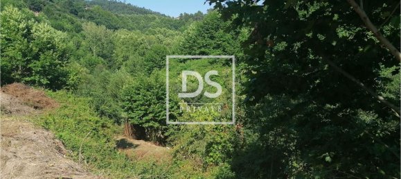 4 Schlafzimmer Haus in Celorico de Basto, Portugal, Nr. 164130 5