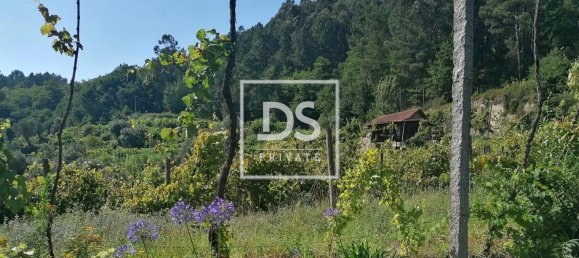 4 Schlafzimmer Haus in Celorico de Basto, Portugal, Nr. 164130 10