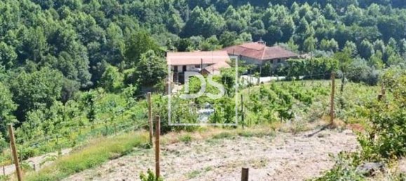 4 Schlafzimmer Haus in Celorico de Basto, Portugal, Nr. 164130 4