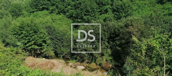 4 Schlafzimmer Haus in Celorico de Basto, Portugal, Nr. 164130 13