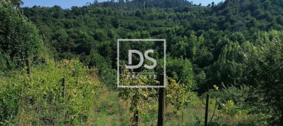 4 Schlafzimmer Haus in Celorico de Basto, Portugal, Nr. 164130 9