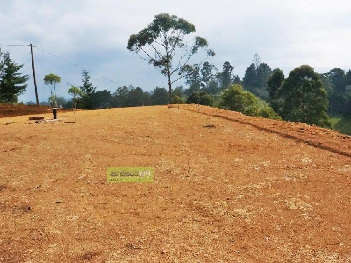 Земельный участок в Антьокия, Колумбия № 181