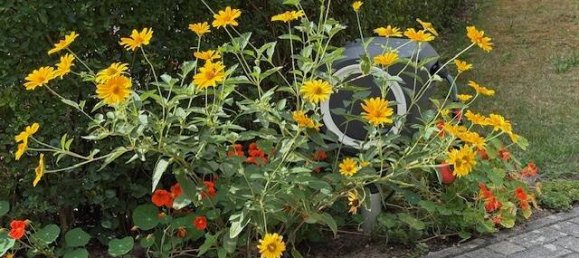 3غرفة شقة في Oder-Spree, Germany رقم 310473 28