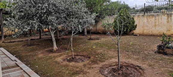 Propiedad comercial de 4 dormitorios en Anavyssos, Greece No. 4461 19