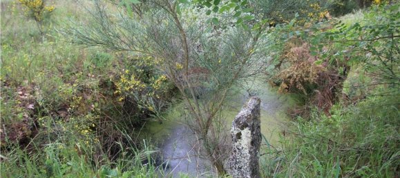  قطعة أرض في Inguias, Portugal 6300متر مربع رقم 70339 5