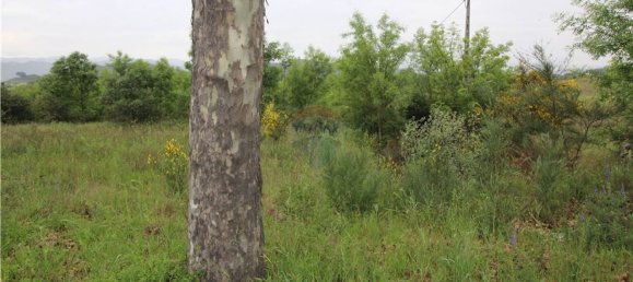  قطعة أرض في Inguias, Portugal 6300متر مربع رقم 70339 4