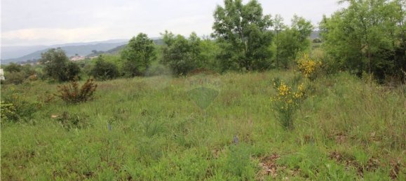  قطعة أرض في Inguias, Portugal 6300متر مربع رقم 70339 10