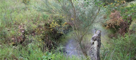  قطعة أرض في Inguias, Portugal 6300متر مربع رقم 70339 3