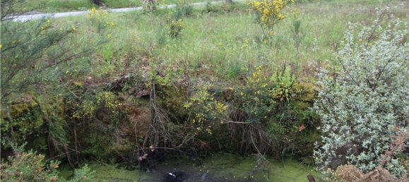  قطعة أرض في Inguias, Portugal 6300متر مربع رقم 70339 2