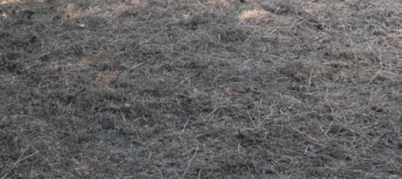 Terreno en Theding, France 979 m² No. 234417 13