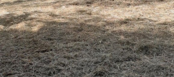 Terreno en Theding, France 979 m² No. 234417 12