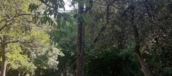 Terreno en Theding, France 979 m² No. 234417 10