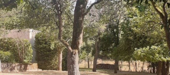 Terreno en Theding, France 979 m² No. 234417 5