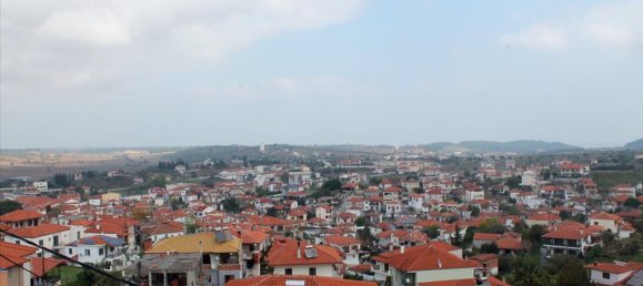 Коммерческая недвижимость с 3 спальнями в Халкидики, Греция № 56658 15